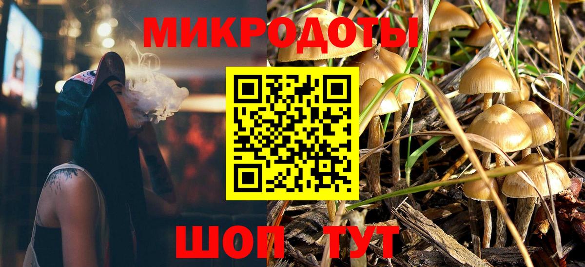 Биробиджан  наркота  Псилоцибиновые грибы MAGIC MUSHROOMS  Вход с VPN  Псилоцибиновые грибы прущие грибы 